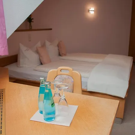 Guest house Waldfrieden Waldheim